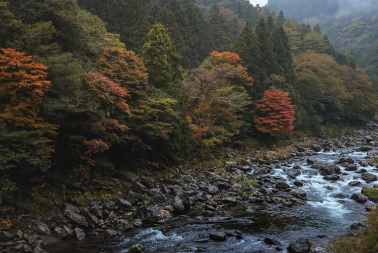 紅葉フォトコン入選yoshikichanchan