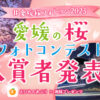 愛媛桜フォトコン2025結果発表記事アイキャッチ